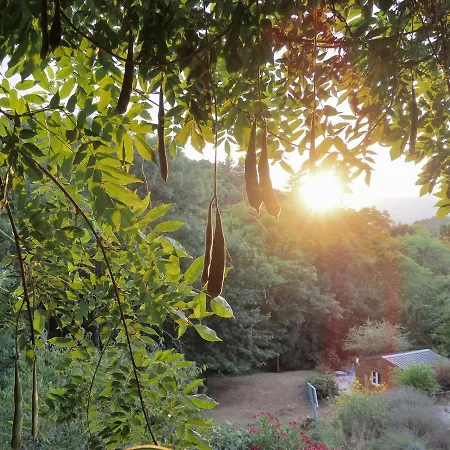 L'evidence * Prades (Ardeche)
