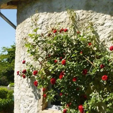 L'evidence Bed & Breakfast Prades (Ardeche)