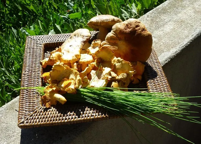 L'evidence Σπίτι διακοπών Prades (Ardeche)