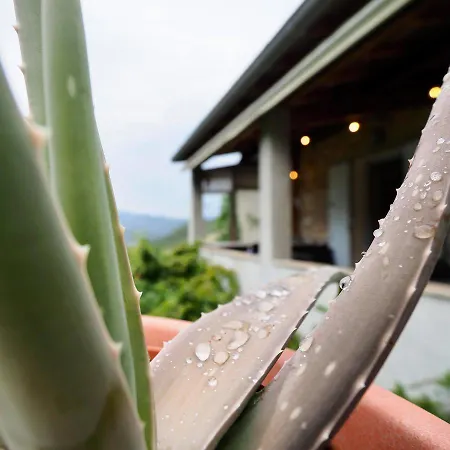 L'evidence בית נופש *